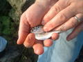 RA Camping 2007-08-24_17-55-36.jpg